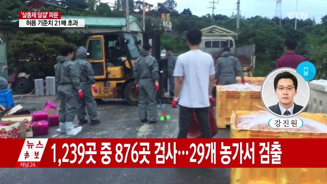 살충제 달걀 31곳으로 늘어...87%가 친환경 / YTN