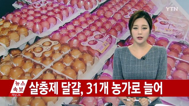 살충제 달걀 31곳으로 늘어...87% '친환경' / YTN