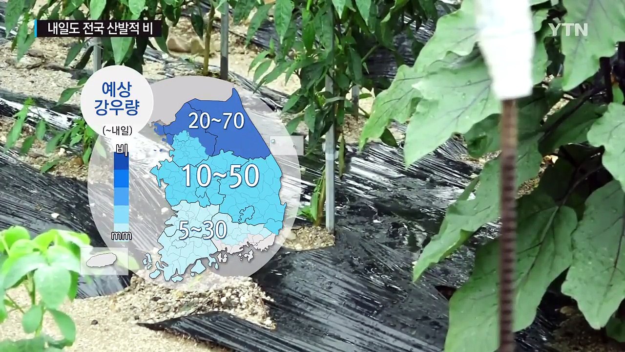 [날씨] 내일도 전국 산발적 비...남부는 낮 더위 / YTN