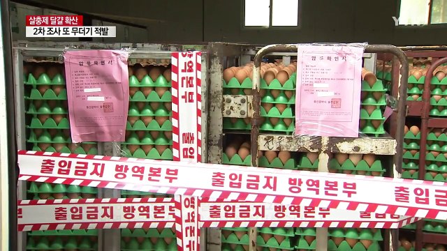 또 무더기 검출...'살충제 달걀' 전국으로 확산 / YTN