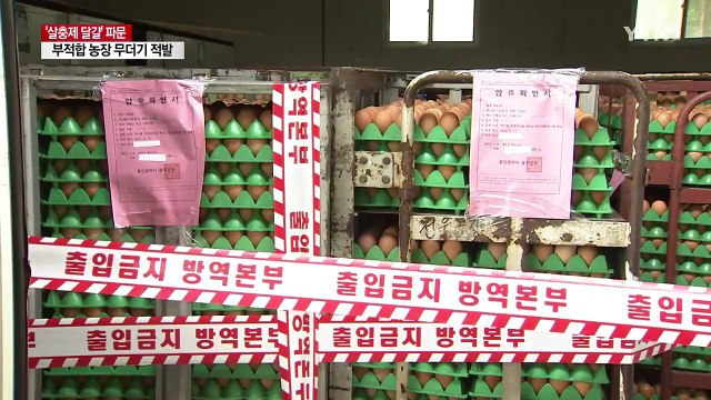 또 무더기 검출...'살충제 달걀' 전국으로 확산 / YTN
