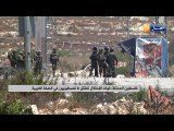 فلسطين المحتلة: قوات الإحتلال تعتقل 3 فلسطينيين في الضفة الغربية