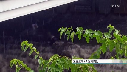 [단독영상] 청계천 물살에 고립된 할머니 구조한 시민 / YTN