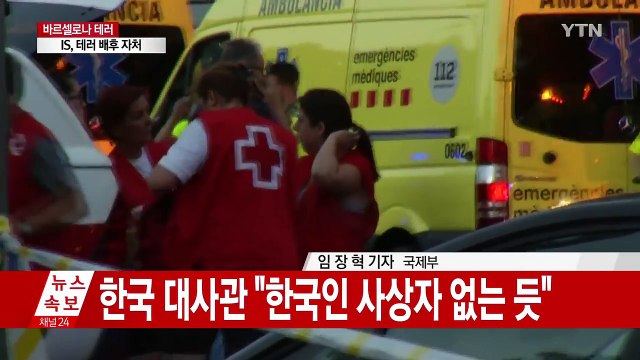 바르셀로나 관광지 '차량 테러'...백여 명 이상 사상 / YTN
