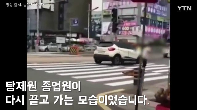 [영상] 차도에서 식용견 질질 끌고 다닌 종업원 입건 / YTN