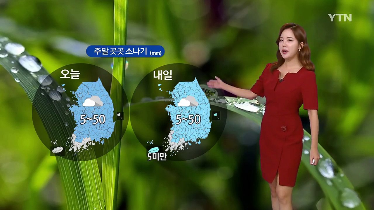 [날씨] 주말∼휴일 소나기 또는 비...더위는 주춤 / YTN