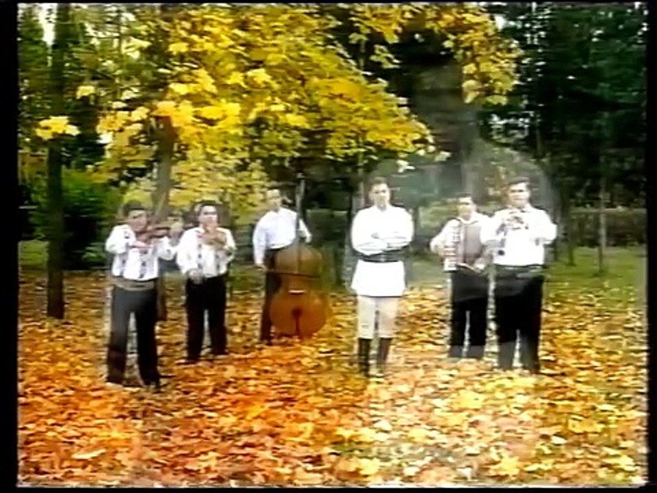 Marius Ciprian Pop -  Cît  îi pomul de fălos