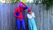Frozen Elsa and Pink Spidergirl Swap Heads w/ Baby Chef, Police Baby, Wonderwoman
