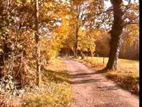 ben 450 honda trx wheel