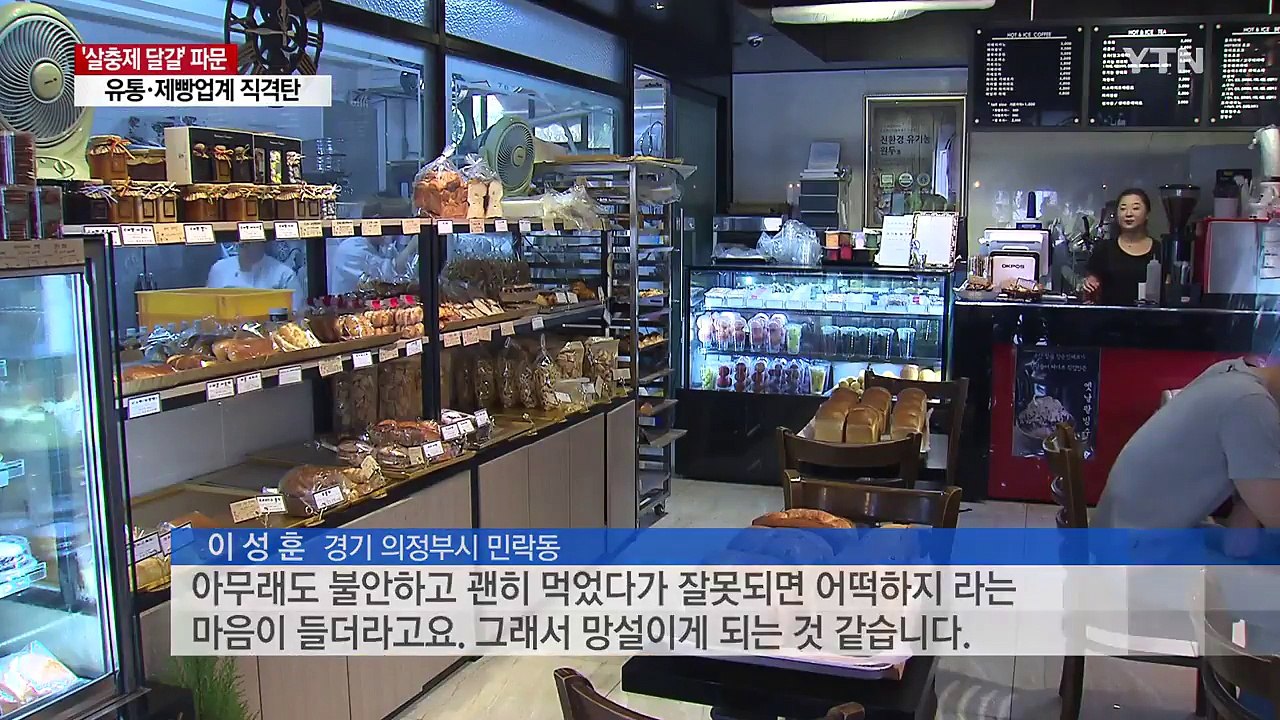 '살충제 달걀' 공포...유통·제빵업계 '직격탄' / YTN