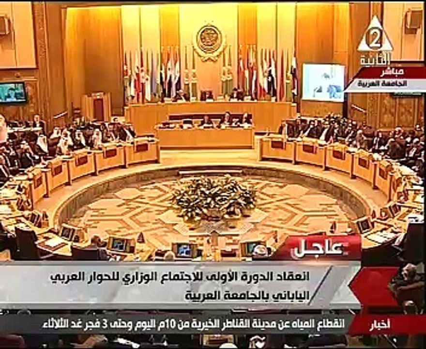 وزير خارجية اليابان: نعلن التزامنا بتحقيق السلم والأمن فى منطقة الشرق الأوسط