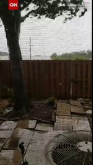 This tree is Uprooted by Hurricane Irma in a House