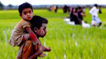 UN: Rohingya facing 'ethnic cleansing' in Myanmar