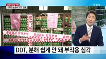 친환경 달걀에서 판매금지 농약 'DDT' 검출 / YTN