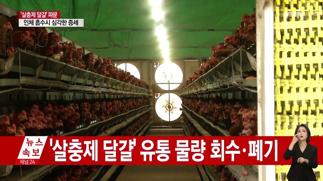 '살충제 달걀' 보완 검사서 3건 추가 검출 / YTN