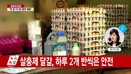 식약처 "살충제 달걀, 평생 매일 2.6개 먹어도 큰 문제 없어" / YTN