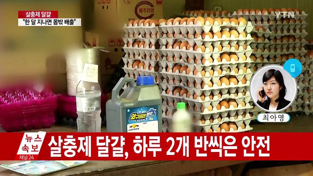 식약처 살충제 달걀, 평생 매일 2.6개 먹어도 큰 문제 없어 / YTN
