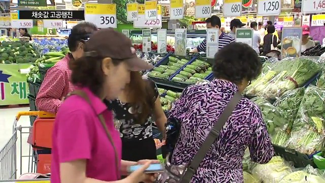 채솟값 폭등...'살충제 파동' 달걀값도 불안 / YTN