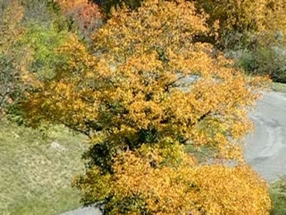 Critérium 2007 ENJOLRAS