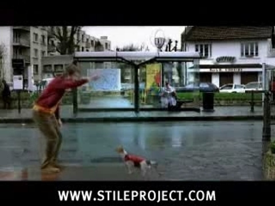 chien ballon de foot