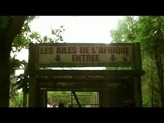 notre été 2007 aux tourelles