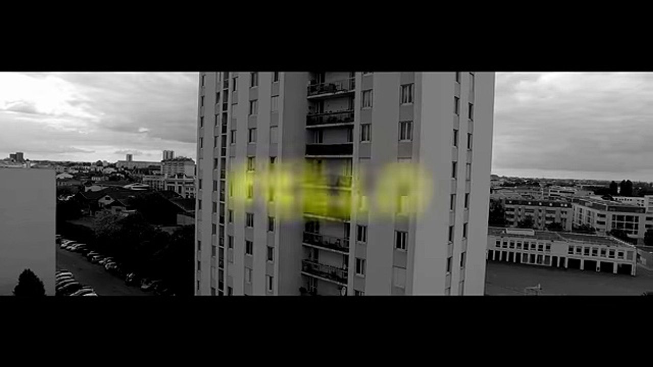 Fello - Dans Le Zoo
