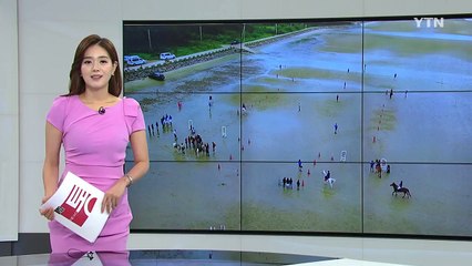 섬 아이들의 신나는 '승마 교류전' / YTN
