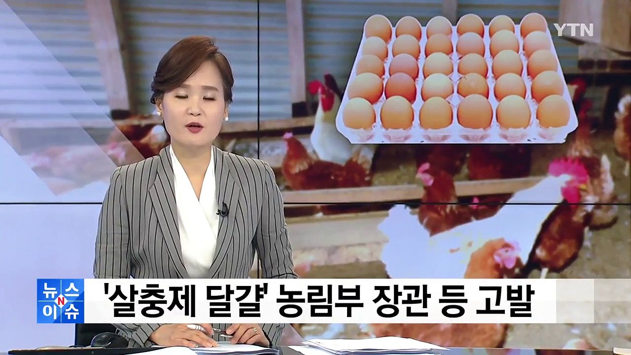 시민단체, '살충제 달걀' 농림부 장관·식약처장 등 고발 / YTN