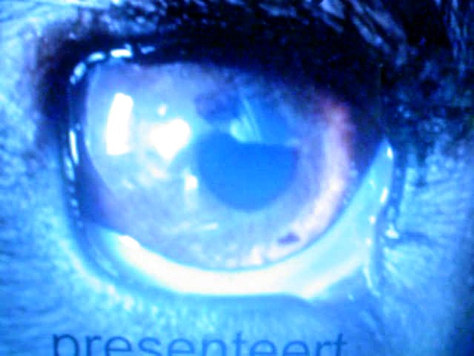 cartoon school martin en de hond 1969