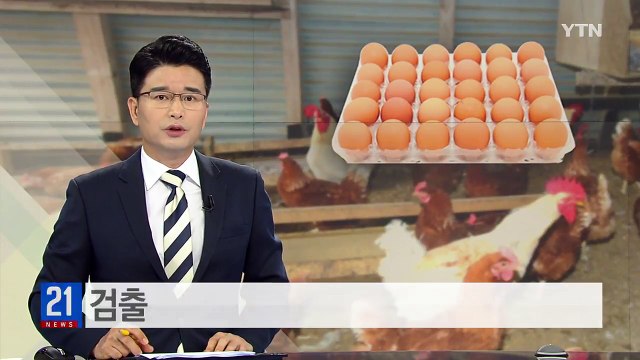 DDT 달걀 농장 닭에서도 검출...2마리는 기준치 초과 / YTN