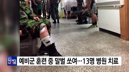 예비군 훈련받다 말벌에 쏘여...13명 병원 치료 / YTN