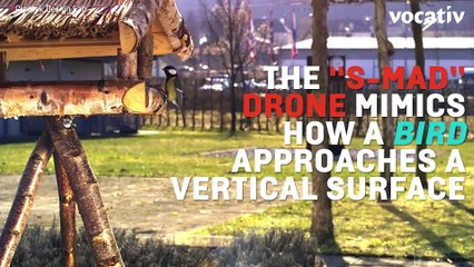 The S-MAD Drone Can Land On Walls Like A Bird