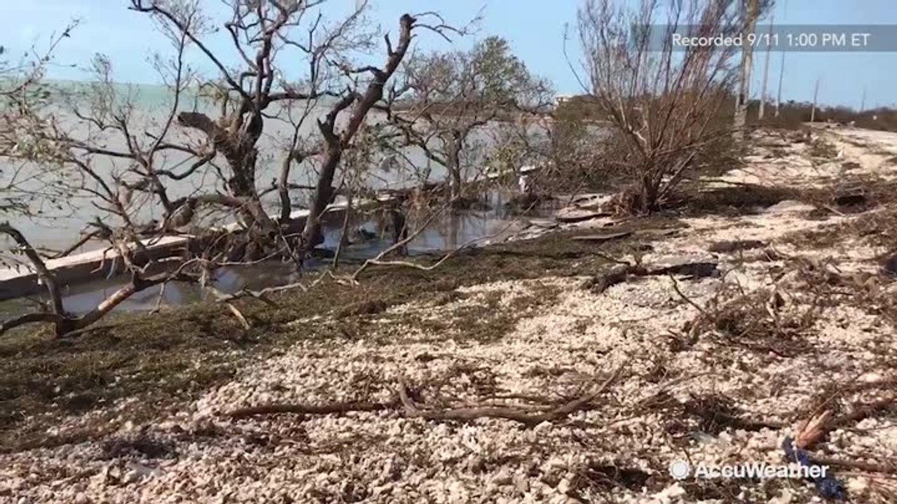 Storm surge from Irma scatters sea shells in Big Pine Key