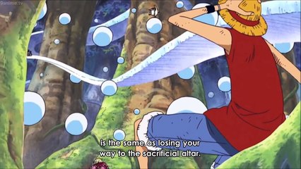 The Illusion Forest Ball Ordeal Begins !! - Chopper is terrified from being alone #596