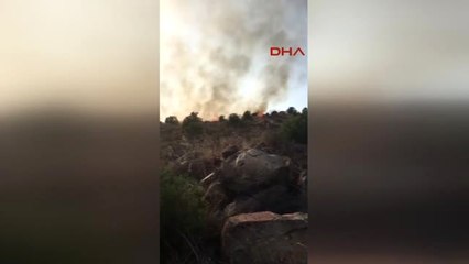 Çanakkale - Bozcaada'daki Yangına Kaymakam ve Belediye Başkanı da Müdahale Etti