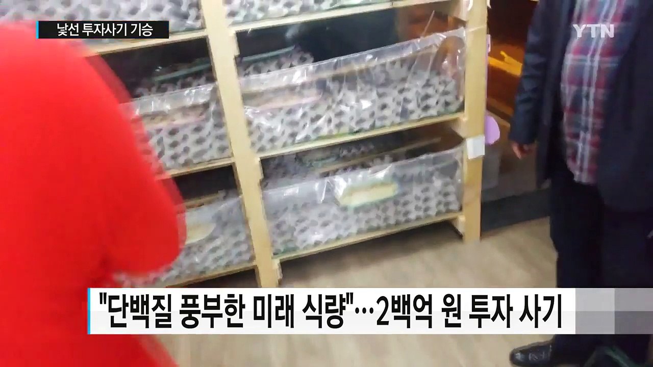 '귀뚜라미, 가상화폐...' 대박의 꿈 노린 사기 기승 / YTN