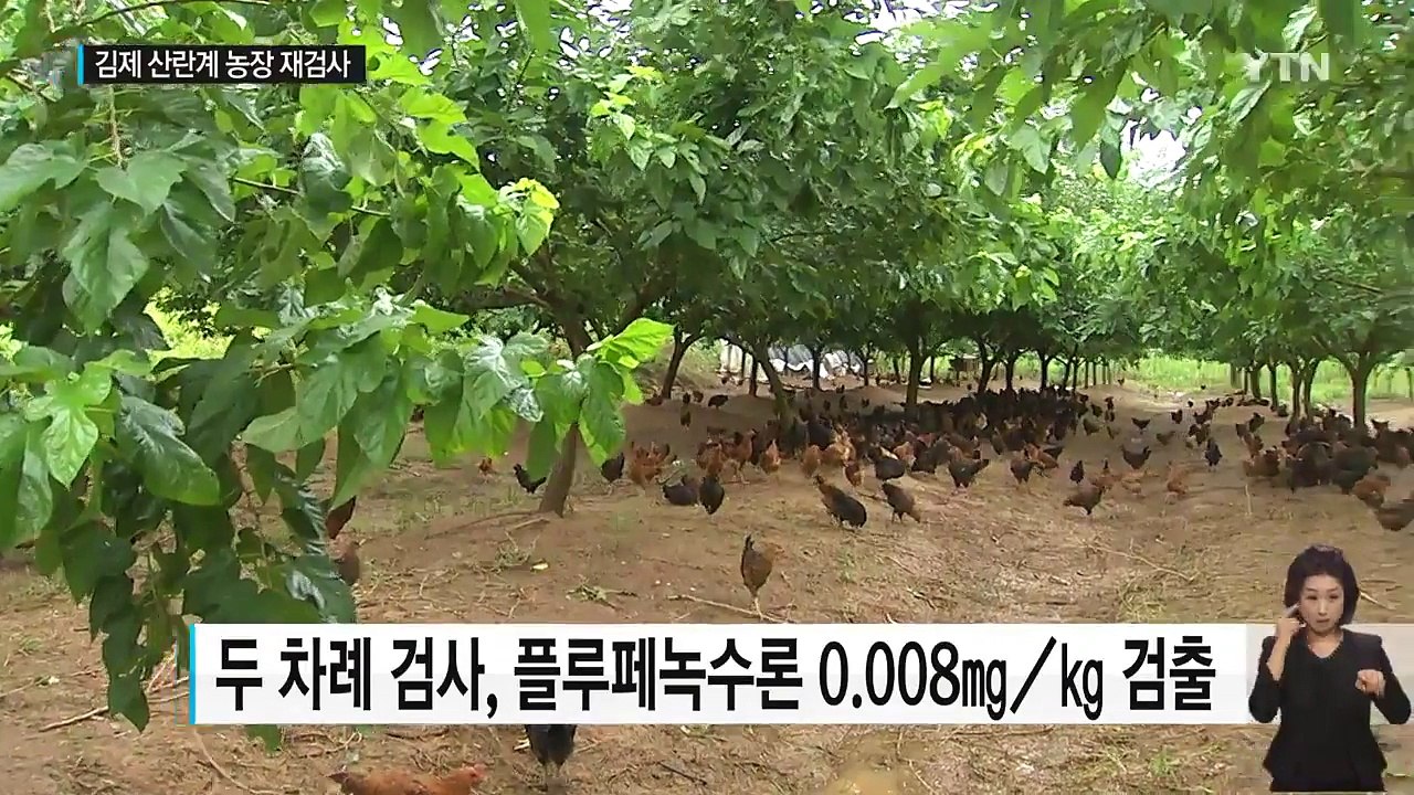 김제 산란계 농장, 재검사에서 또 살충제 검출 / YTN