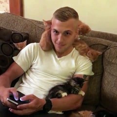 Cute Guy and Cuddly Kittens