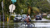 Irma : la Floride découvre les dégâts