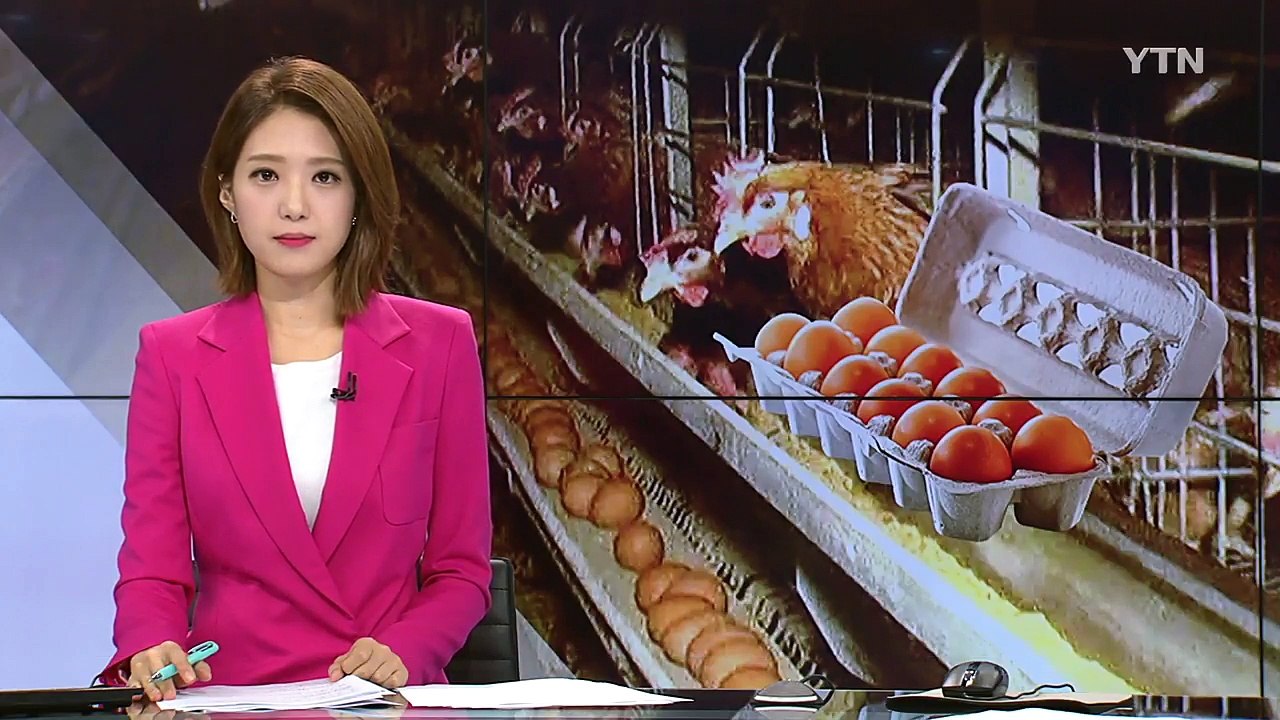 김제 산란계 농장, 재검사에서 또 살충제 검출 / YTN