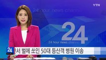 부산서 벌에 쏘인 50대 등산객 병원 이송 / YTN