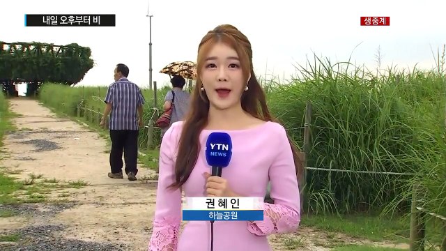 [날씨] 휴일 쾌청한 초가을 날씨...내일 오후부터 비 / YTN