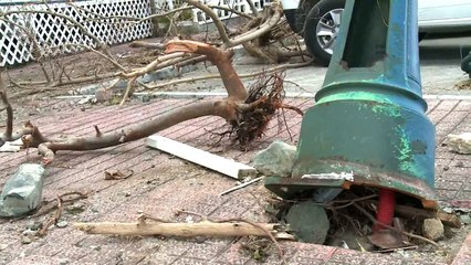 Hurricane Irma leaves devastation on island of Saint Martin