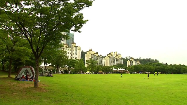 [영상] 성큼 다가온 가을 / YTN