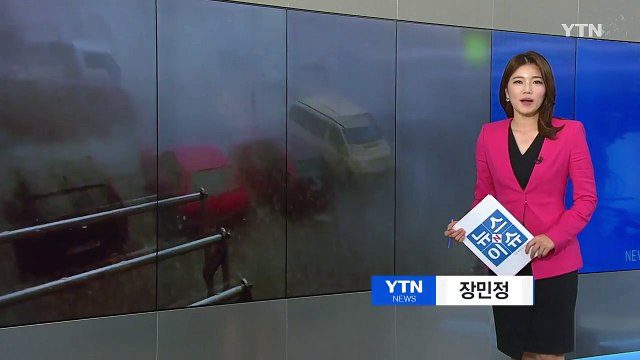 스페인에 지름 5cm 우박 쏟아져 '쑥대밭' / YTN