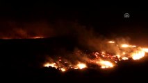 Kütahya'daki Orman Yangını Tekrar Başladı