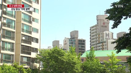 8·2 대책 한 달...거래절벽 속 다주택자 동향에 촉각 / YTN