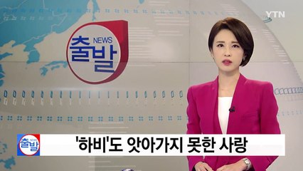 '하비'가 앗아가지 못한 사랑... 뭉클한 사연들 / YTN