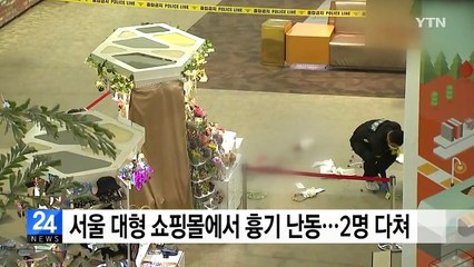 서울 대형 쇼핑몰에서 흉기 난동...2명 다쳐 / YTN