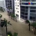 فلوریڈا: ایک سو سال میں شدید ترین طوفان